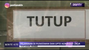 [ID: NkJpcQHVudM] Youtube Automatic