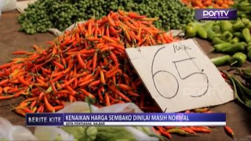 [ID: oV6uSNctv94] Youtube Automatic