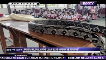 [ID: s4K0q65h7Is] Youtube Automatic