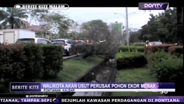 [ID: SpB3IuRT1AU] Youtube Automatic