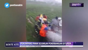 [ID: v5P9BZQts1Y] Youtube Automatic