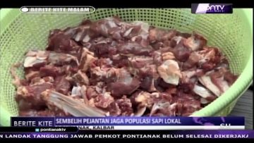 [ID: VlLfV1kYpt8] Youtube Automatic