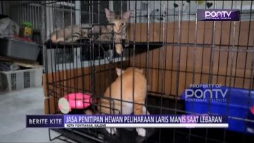 [ID: 45DvnfctXrc] Youtube Automatic