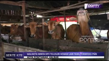 [ID: stZTt5i_UNI] Youtube Automatic