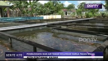 [ID: GCx-CZbI-IE] Youtube Automatic