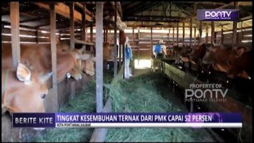 [ID: GpbPAiHdCFk] Youtube Automatic