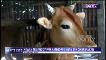 [ID: JkROnipXG1I] Youtube Automatic