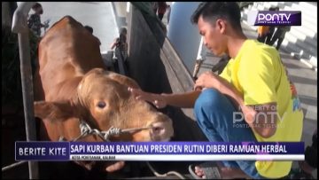 [ID: l9YTYbNo2v4] Youtube Automatic