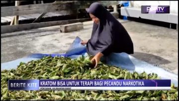 [ID: t2HYqhac3e4] Youtube Automatic