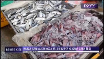 [ID: F76Sk8NYfcs] Youtube Automatic