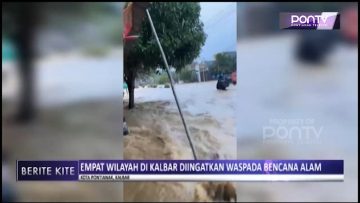 [ID: G1FocfZYBBo] Youtube Automatic