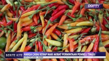 [ID: TSEDMZ3eXlU] Youtube Automatic