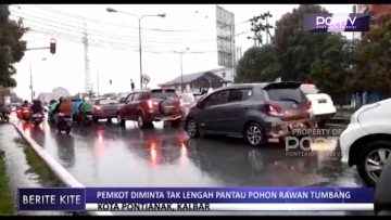 [ID: WYgpNbqgCU0] Youtube Automatic