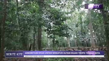 [ID: etjPCLjm6jA] Youtube Automatic