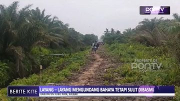 [ID: Y4UI84U8aTg] Youtube Automatic