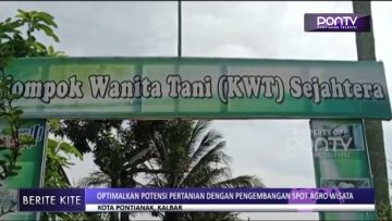 [ID: AlflPrpPcsM] Youtube Automatic