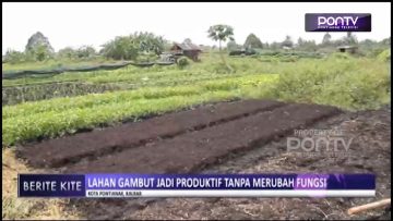 [ID: R1y-nb_rDQk] Youtube Automatic