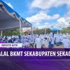 [ID: BNq6Qmb-Bj4] Youtube Automatic