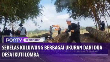 [ID: KrmmyNRQeT0] Youtube Automatic