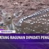 [ID: IcoPmB_IHAg] Youtube Automatic