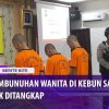 [ID: rbvb3S5sc88] Youtube Automatic