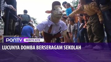 [ID: -fBc5eqTL0k] Youtube Automatic