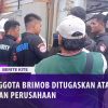 [ID: 8Q2WhKyOjqg] Youtube Automatic