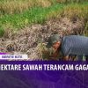 [ID: MB8jouta2hs] Youtube Automatic