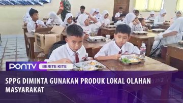 [ID: ZNXXVo3jl7M] Youtube Automatic