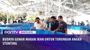 [ID: 5SLKpcstpKQ] Youtube Automatic