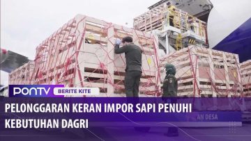 [ID: 89WIzipvLek] Youtube Automatic