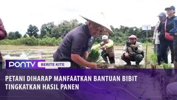 [ID: ALlcP67W2NU] Youtube Automatic