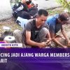 [ID: GyvV2XMd7Lo] Youtube Automatic