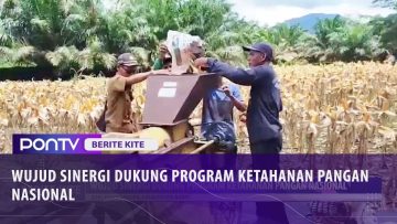 [ID: P7GwzQT3yEg] Youtube Automatic