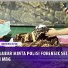 [ID: qDR9aUPbM9A] Youtube Automatic