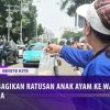 [ID: thSWLq87Y4U] Youtube Automatic