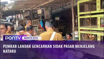 [ID: 1t1Hu9yuE8w] Youtube Automatic