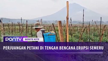 [ID: EI_4DjuaLiU] Youtube Automatic