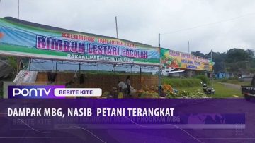 [ID: Hj7u1xB_wh4] Youtube Automatic