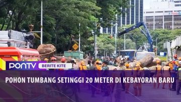 [ID: kLAm84Oes-g] Youtube Automatic