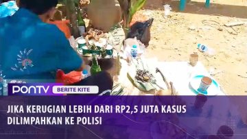 [ID: QP2lHmP-ssk] Youtube Automatic