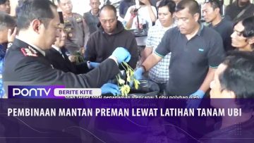 [ID: webS4OMJPN8] Youtube Automatic