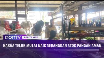 [ID: yAVhUxap3sw] Youtube Automatic