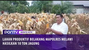 [ID: 5W3Z37X5jh8] Youtube Automatic