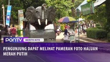 [ID: nzoJzMbeBE8] Youtube Automatic