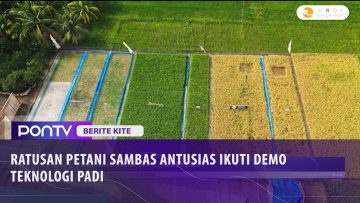 [ID: WIJMD1dCCiE] Youtube Automatic