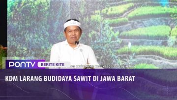 [ID: 4WKrqnBDrtc] Youtube Automatic