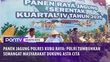 [ID: hnvyIzcidWk] Youtube Automatic