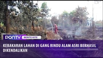 [ID: VNSld-Ir56w] Youtube Automatic