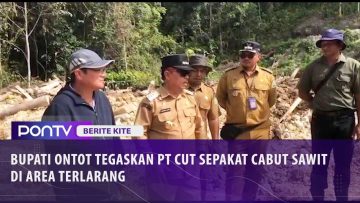 [ID: vx8Lyq5EphY] Youtube Automatic